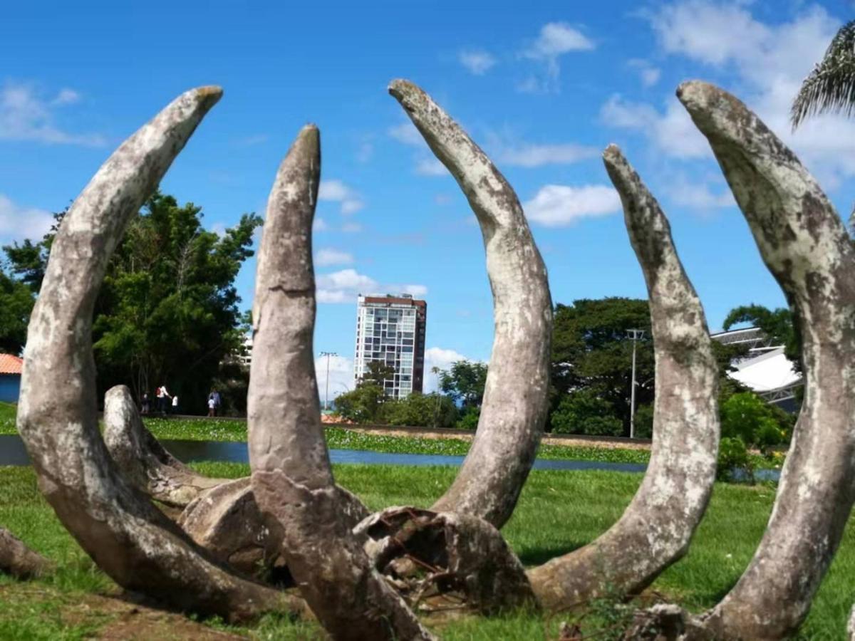 Torres Del Lago Suites And Apartments San Jose  Luaran gambar